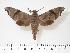  ( - BC-Hax3345)  @12 [ ] Copyright (2010) Unspecified Research Collection of Jean Haxaire