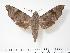  ( - BC-Hax3347)  @12 [ ] Copyright (2010) Unspecified Research Collection of Jean Haxaire