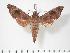  ( - BC-Hax3357)  @15 [ ] Copyright (2010) Unspecified Research Collection of Jean Haxaire