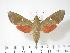  ( - BC-Hax3398)  @14 [ ] Copyright (2010) Unspecified Research Collection of Jean Haxaire
