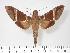  ( - BC-Hax3411)  @14 [ ] Copyright (2010) Unspecified Research Collection of Jean Haxaire
