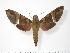  ( - BC-Hax3415)  @14 [ ] Copyright (2010) Unspecified Research Collection of Jean Haxaire