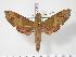  ( - BC-Hax3439)  @14 [ ] Copyright (2010) Unspecified Research Collection of Jean Haxaire