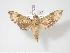  ( - BC-Hax3446)  @14 [ ] Copyright (2010) Unspecified Research Collection of Jean Haxaire