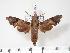 ( - BC-Hax3460)  @14 [ ] Copyright (2010) Unspecified Research Collection of Jean Haxaire