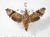 ( - BC-Hax3465)  @14 [ ] Copyright (2010) Unspecified Research Collection of Jean Haxaire