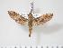  ( - BC-Hax3541)  @13 [ ] Copyright (2010) Unspecified Research Collection of Jean Haxaire