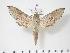  ( - BC-Hax3553)  @14 [ ] Copyright (2010) Unspecified Research Collection of Jean Haxaire
