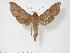  ( - BC-Hax3566)  @14 [ ] Copyright (2010) Unspecified Research Collection of Jean Haxaire