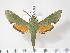  ( - BC-Hax3582)  @14 [ ] Copyright (2010) Unspecified Research Collection of Jean Haxaire