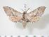  ( - BC-Hax3690)  @14 [ ] Copyright (2010) Unspecified Research Collection of Jean Haxaire