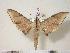  ( - BC-Hax3767)  @14 [ ] Copyright (2010) Unspecified Research Collection of Jean Haxaire