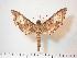  ( - BC-Hax3783)  @14 [ ] Copyright (2010) Unspecified Research Collection of Jean Haxaire