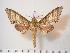  ( - BC-Hax3785)  @14 [ ] Copyright (2010) Unspecified Research Collection of Jean Haxaire