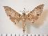  ( - BC-Hax3789)  @13 [ ] Copyright (2010) Unspecified Research Collection of Jean Haxaire