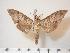  ( - BC-Hax3790)  @14 [ ] Copyright (2010) Unspecified Research Collection of Jean Haxaire