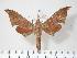  ( - BC-Hax3793)  @13 [ ] Copyright (2010) Unspecified Research Collection of Jean Haxaire