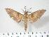  ( - BC-Hax3797)  @13 [ ] Copyright (2010) Unspecified Research Collection of Jean Haxaire