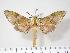  ( - BC-Hax3799)  @14 [ ] Copyright (2010) Unspecified Research Collection of Jean Haxaire