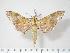  ( - BC-Hax3800)  @14 [ ] Copyright (2010) Unspecified Research Collection of Jean Haxaire