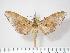  ( - BC-Hax3801)  @13 [ ] Copyright (2010) Unspecified Research Collection of Jean Haxaire
