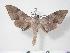  ( - BC-Hax3840)  @14 [ ] Copyright (2010) Unspecified Research Collection of Jean Haxaire