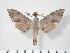  ( - BC-Hax3841)  @14 [ ] Copyright (2010) Unspecified Research Collection of Jean Haxaire
