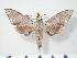  ( - BC-Hax3846)  @14 [ ] Copyright (2010) Unspecified Research Collection of Jean Haxaire