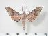  ( - BC-Hax3848)  @12 [ ] Copyright (2010) Unspecified Research Collection of Jean Haxaire