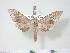  ( - BC-Hax3849)  @12 [ ] Copyright (2010) Unspecified Research Collection of Jean Haxaire