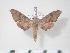  ( - BC-Hax3850)  @14 [ ] Copyright (2010) Unspecified Research Collection of Jean Haxaire