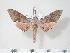  ( - BC-Hax3851)  @12 [ ] Copyright (2010) Unspecified Research Collection of Jean Haxaire