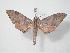 ( - BC-Hax3856)  @14 [ ] Copyright (2010) Unspecified Research Collection of Jean Haxaire