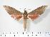  ( - BC-Hax3872)  @14 [ ] Copyright (2010) Unspecified Research Collection of Jean Haxaire