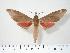  ( - BC-Hax3873)  @14 [ ] Copyright (2010) Unspecified Research Collection of Jean Haxaire