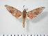  ( - BC-Hax3876)  @13 [ ] Copyright (2010) Unspecified Research Collection of Jean Haxaire