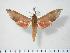  ( - BC-Hax3880)  @13 [ ] Copyright (2010) Unspecified Research Collection of Jean Haxaire