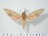  ( - BC-Hax3881)  @14 [ ] Copyright (2010) Unspecified Research Collection of Jean Haxaire