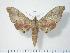  ( - BC-Hax3884)  @14 [ ] Copyright (2010) Unspecified Research Collection of Jean Haxaire