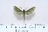  ( - BC-Hax4455)  @13 [ ] Copyright (2010) Unspecified Research Collection of Jean Haxaire