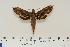  ( - BC-Hax4639)  @14 [ ] Copyright (2010) Unspecified Research Collection of Jean Haxaire