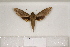  ( - BC-HAX4681)  @12 [ ] Copyright (2010) Unspecified Research Collection of Jean Haxaire