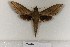  ( - BC-HAX4695)  @12 [ ] Copyright (2010) Unspecified Research Collection of Jean Haxaire