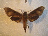  ( - BC-HAX4698)  @13 [ ] Copyright (2010) Unspecified Research Collection of Jean Haxaire