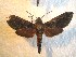  ( - BC-HAX4701)  @13 [ ] Copyright (2010) Unspecified Research Collection of Jean Haxaire