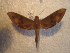  ( - BC-HAX4702)  @12 [ ] Copyright (2010) Unspecified Research Collection of Jean Haxaire