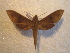  ( - BC-HAX4704)  @12 [ ] Copyright (2010) Unspecified Research Collection of Jean Haxaire