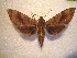  ( - BC-HAX4734)  @14 [ ] Copyright (2010) Unspecified Research Collection of Jean Haxaire