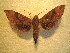  ( - BC-HAX4737)  @13 [ ] Copyright (2010) Unspecified Research Collection of Jean Haxaire