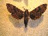  ( - BC-HAX4740)  @13 [ ] Copyright (2010) Unspecified Research Collection of Jean Haxaire